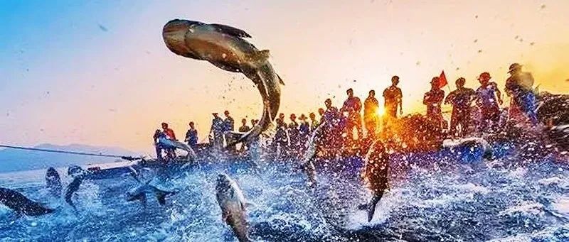 管理沙盘|《跨部门沟通与协作》沙盘课程—捕鱼