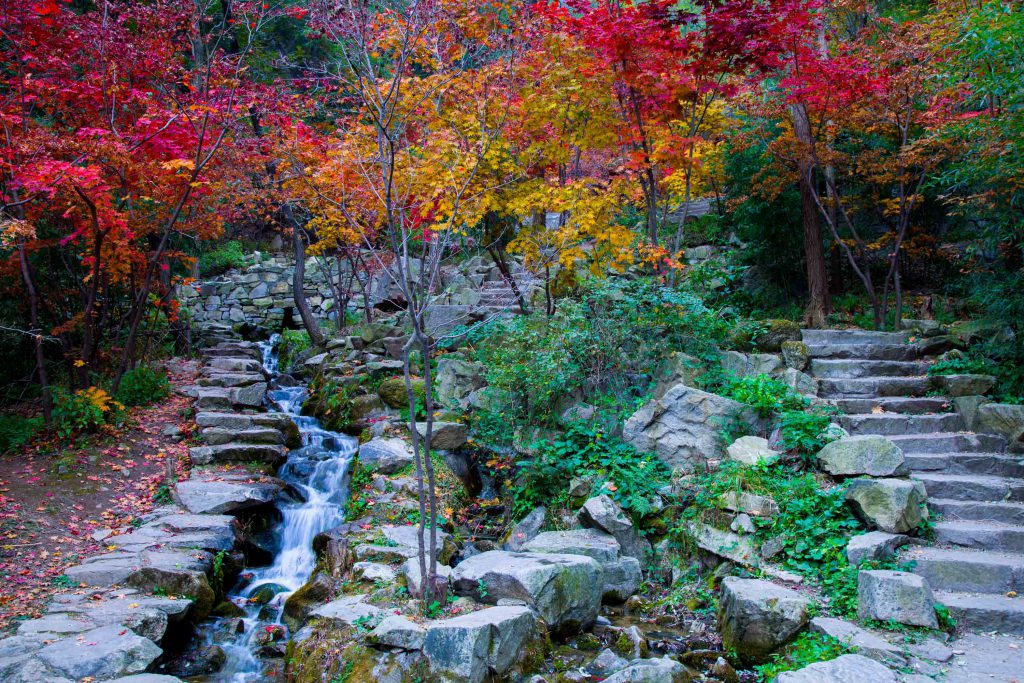 图片[5]-济南·南部山区—九如山5A级拓展训练基地-沐风体验