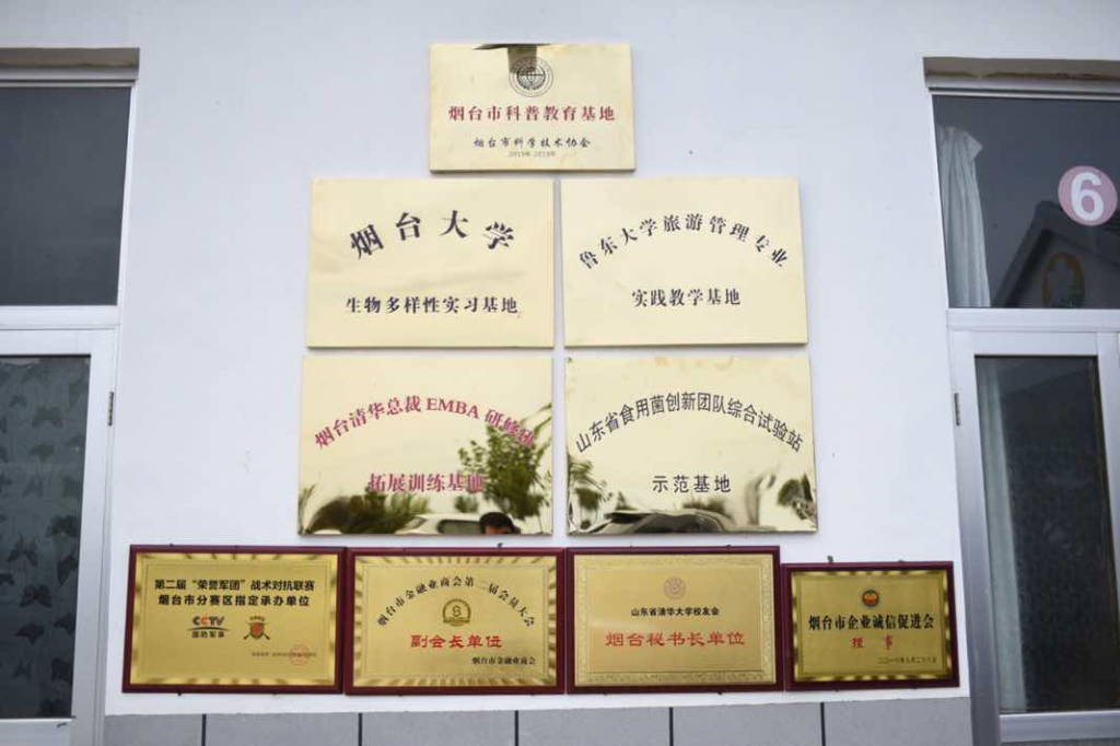 图片[3]-烟台·牟平拓展训练基地—鹤仙谷杏花山庄-沐风体验
